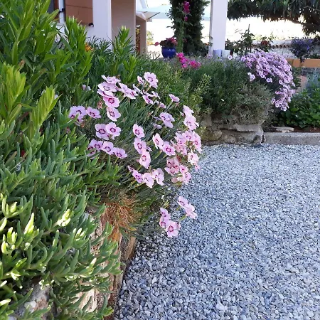 Apartment Bernarda