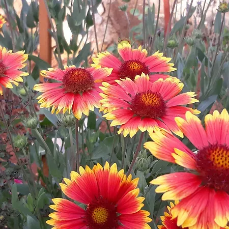 Appartamento Bernarda