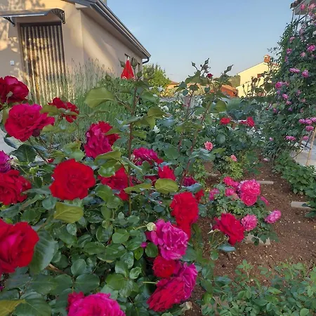 Bernarda Apartment *