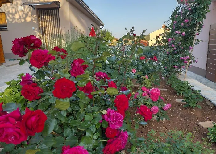 Bernarda Apartment *