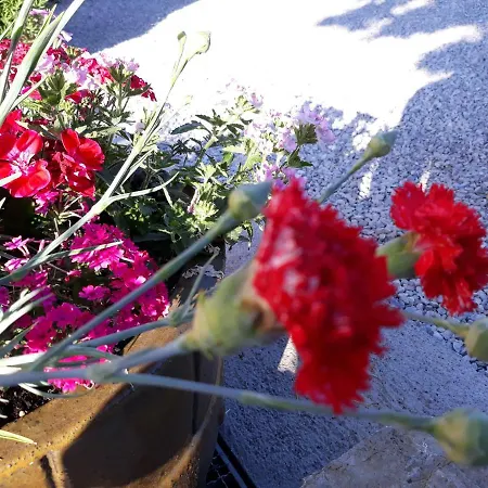 Apartment Bernarda *